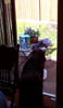 OsaLookinOutside